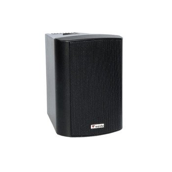 Westa WS-4TB 4 İnç 10 cm 100W 16 Ohm/100V Kabin Hoparlör Siyah IP65