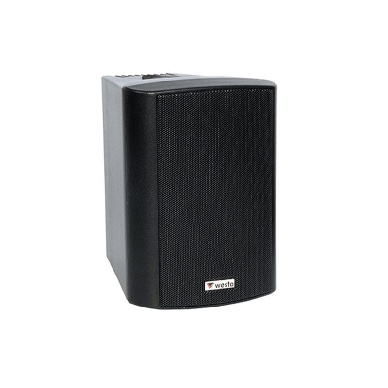 Westa WS-4TB 4 İnç 10 cm 100W 16 Ohm/100V Kabin Hoparlör Siyah IP65