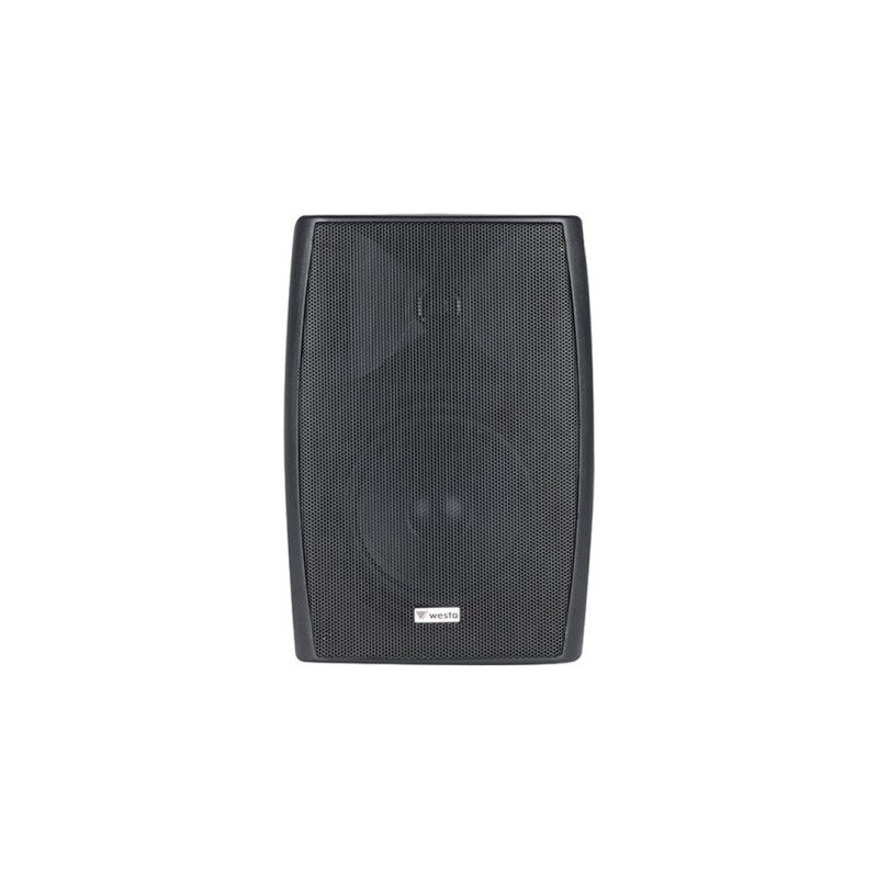 Westa WS-55TB 5,25 İnç 13 cm 30W 8 Ohm/100V Trafolu Plastik Kabin Hoparlör Siyah