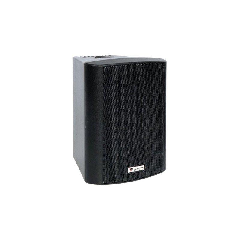 Westa WS-5TB 5,25 İnç 13 cm 125W 16 Ohm/100V Trafolu Kabin Hoparlör Siyah IP65