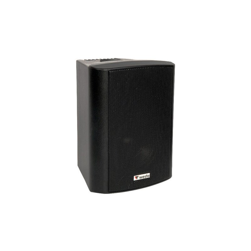 Westa WS-6TB 6,5 İnç 16 cm 150W 16 Ohm/100V Trafolu Kabin Hoparlör Siyah IP65