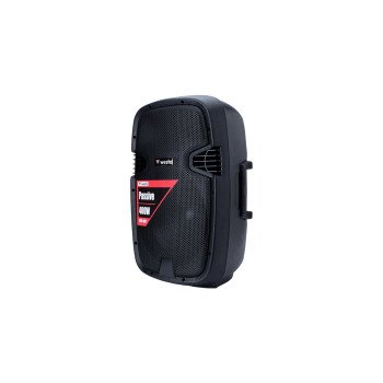 Westa WSS-1012 12 İnç 600W Pasif Kabin Hoparlör 8 Ohm